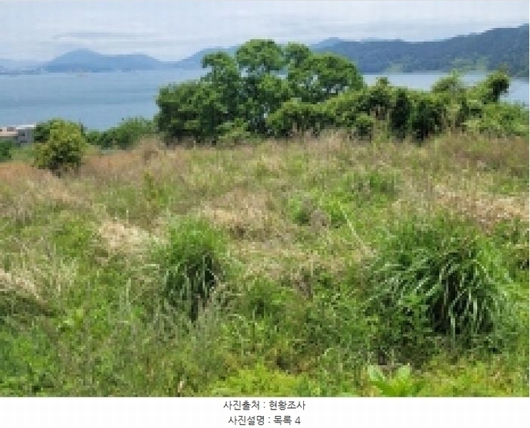 2025타경21354 경상남도 거제시 사등면 창호리 522 농지 경매 이미지