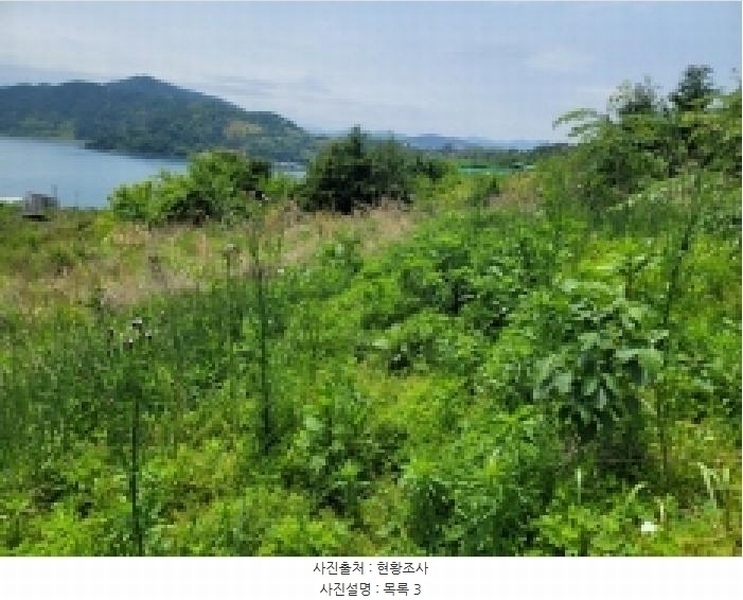 2025타경21354 경상남도 거제시 사등면 창호리 522 농지 경매 이미지