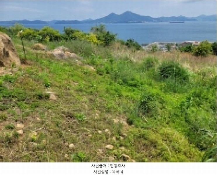 2025타경21354 경상남도 거제시 사등면 창호리 522 농지 경매 이미지