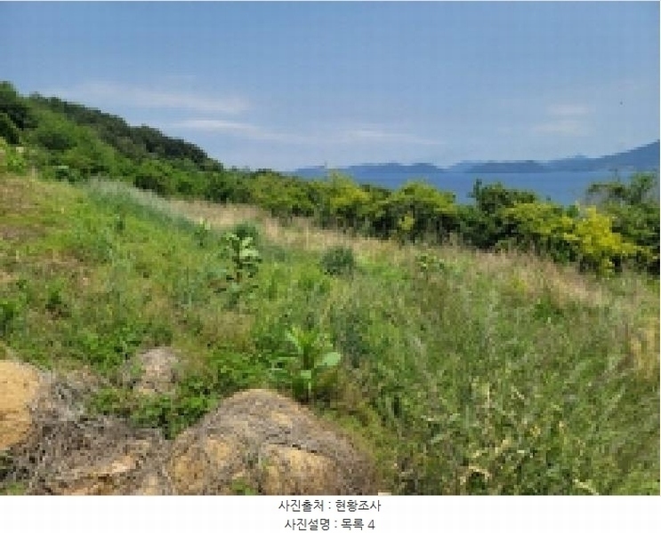 2025타경21354 경상남도 거제시 사등면 창호리 522 농지 경매 이미지