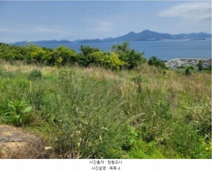 2025타경21354 경상남도 거제시 사등면 창호리 522 농지 경매 이미지
