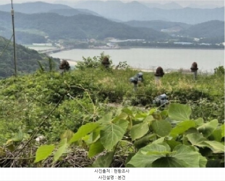 2025타경21361 경상남도 고성군 거류면 감서리 1583 기타용지 경매 이미지