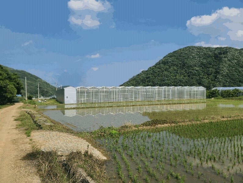 2025타경21370 경상남도 고성군 마암면 신리 335-8 농가관련시설 경매 이미지