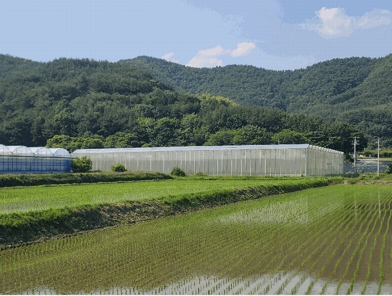 2025타경21370 경상남도 고성군 마암면 신리 335-8 농가관련시설 경매 이미지