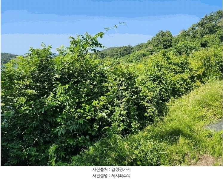 2025타경21416 경상남도 거제시 사등면 청곡리 735-3 주택 경매 이미지