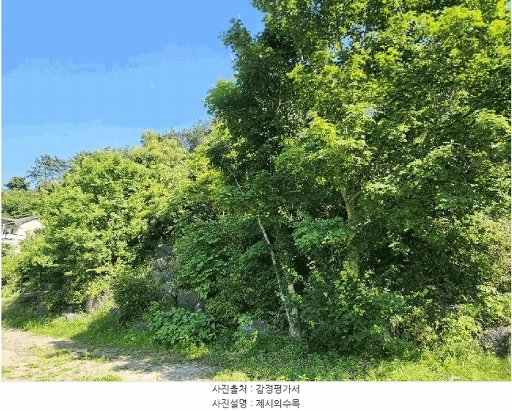 2025타경21416 경상남도 거제시 사등면 청곡리 735-3 주택 경매 이미지