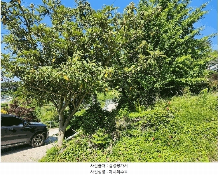 2025타경21416 경상남도 거제시 사등면 청곡리 735-3 주택 경매 이미지