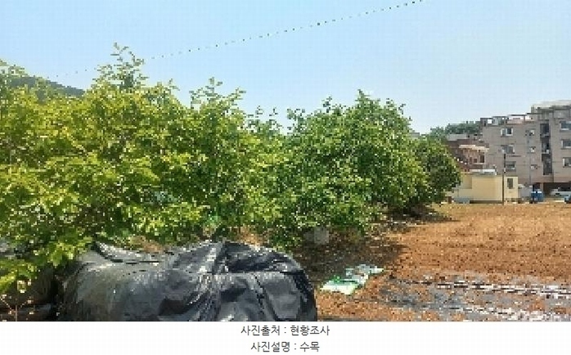 2025타경21439 경상남도 거제시 연초면 한내리 66 농지 경매 이미지
