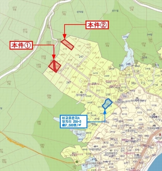 2025타경21446 경상남도 거제시 일운면 망치리 247-46 농지 경매 이미지