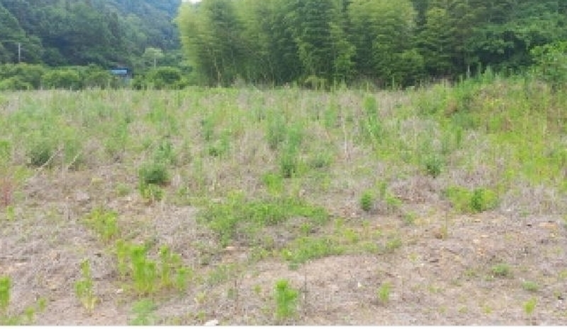 2025타경21456 경상남도 거제시 장목면 장목리 454-3 농지 경매 이미지