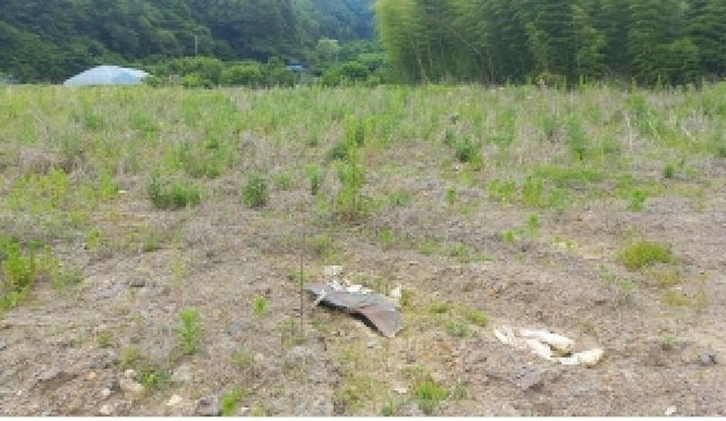 2025타경21456 경상남도 거제시 장목면 장목리 454-3 농지 경매 이미지