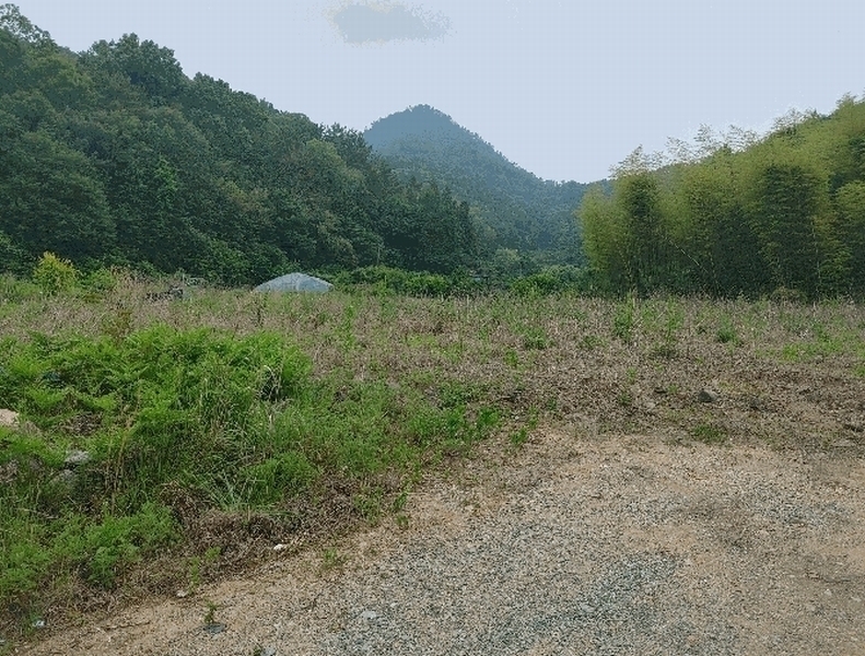 2025타경21456 경상남도 거제시 장목면 장목리 454-3 농지 경매 이미지