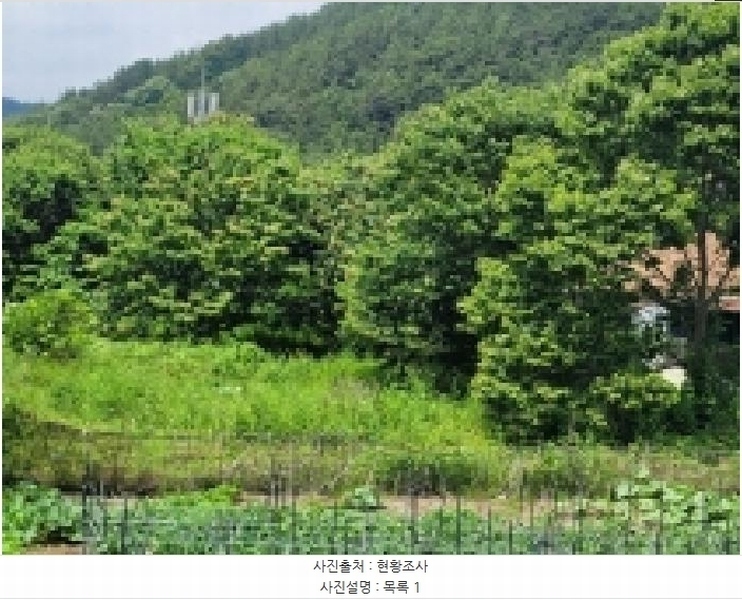 2025타경21479 경상남도 통영시 광도면 죽림리 1159 농지 경매 이미지