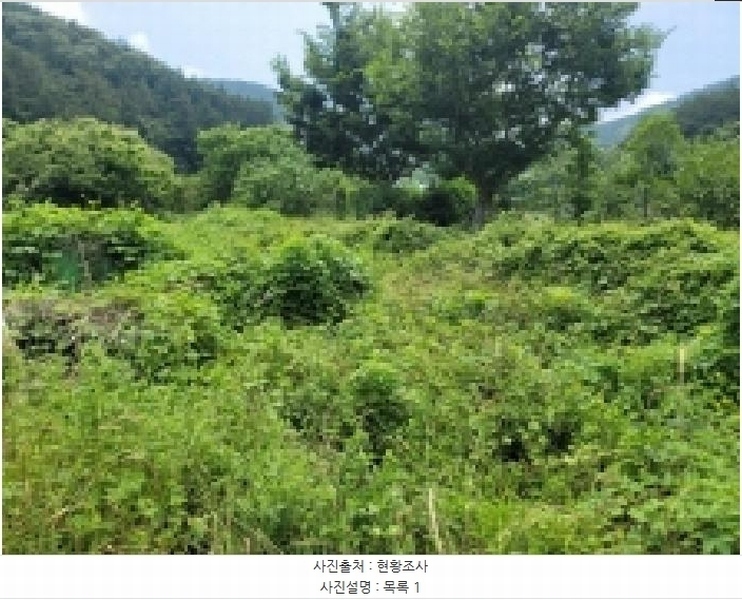 2025타경21479 경상남도 통영시 광도면 죽림리 1159 농지 경매 이미지