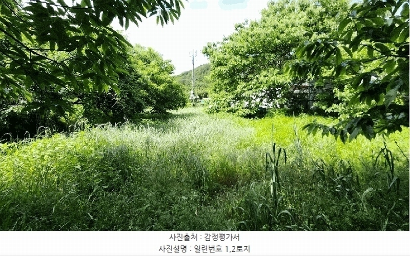 2025타경21479 경상남도 통영시 광도면 죽림리 1159 농지 경매 이미지