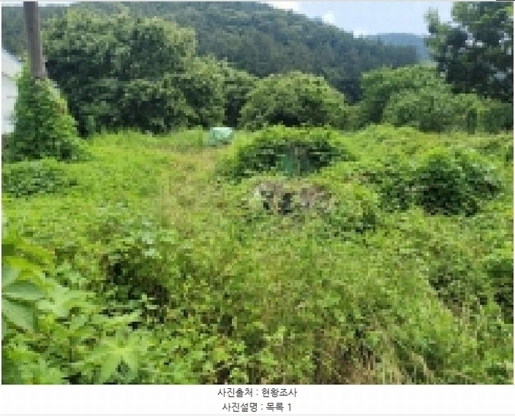 2025타경21479 경상남도 통영시 광도면 죽림리 1159 농지 경매 이미지