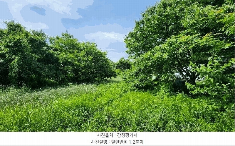 2025타경21479 경상남도 통영시 광도면 죽림리 1159 농지 경매 이미지
