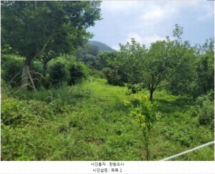 2025타경21479 경상남도 통영시 광도면 죽림리 1159 농지 경매 이미지
