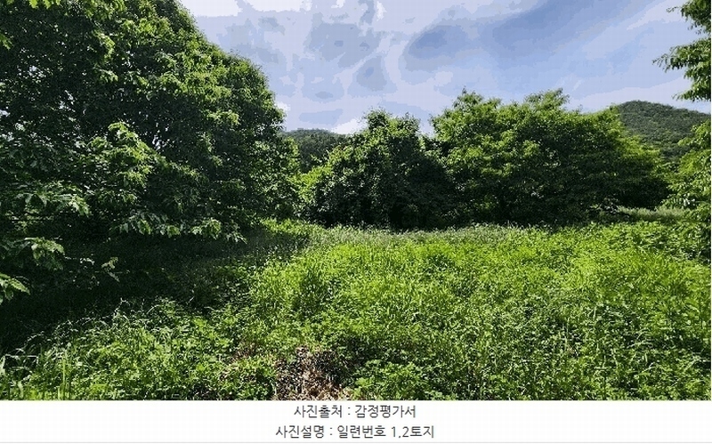 2025타경21479 경상남도 통영시 광도면 죽림리 1159 농지 경매 이미지