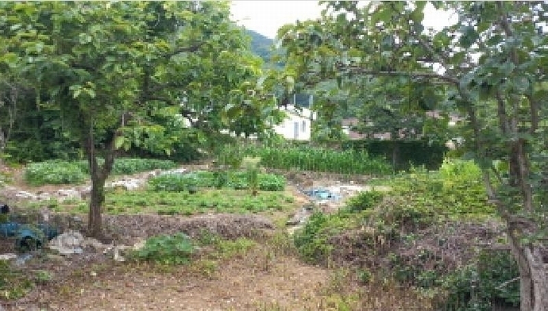 2025타경21512 경상남도 거제시 연초면 한내리 577 대지 경매 이미지