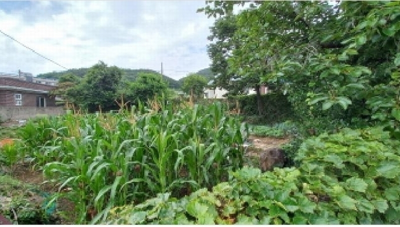 2025타경21512 경상남도 거제시 연초면 한내리 577 대지 경매 이미지