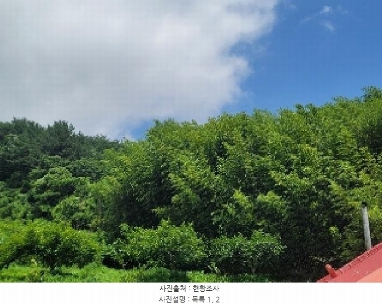 2025타경21528 경상남도 거제시 둔덕면 거림리 844 농지 경매 이미지