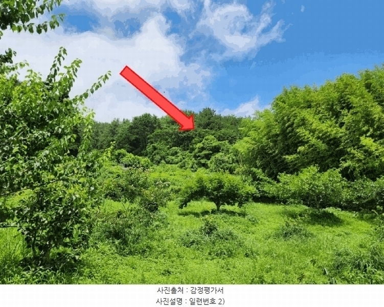 2025타경21528 경상남도 거제시 둔덕면 거림리 844 농지 경매 이미지