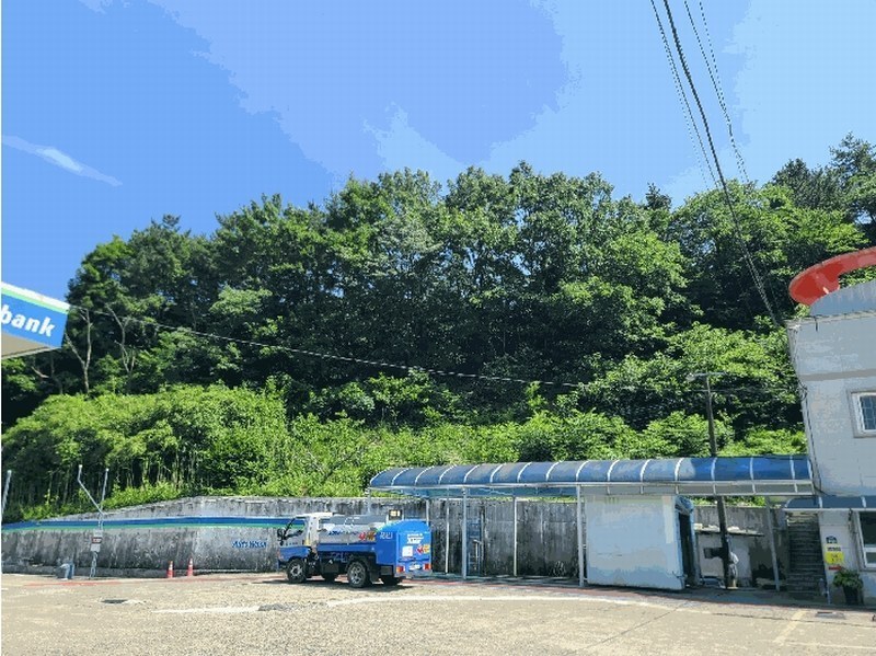 2025타경21529 경상남도 거제시 장평동 산83-12 임야 경매 이미지