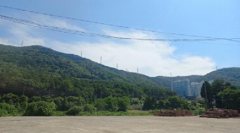2025타경21529 경상남도 거제시 장평동 산83-12 임야 경매 이미지