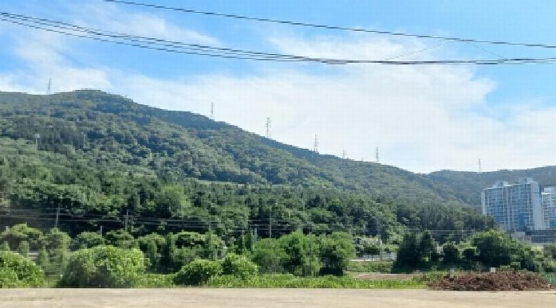 2025타경21529 경상남도 거제시 장평동 산83-12 임야 경매 이미지