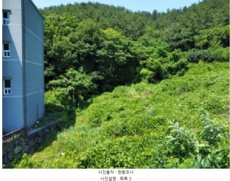 2025타경21560 경상남도 거제시 장목면 관포리 산40-1 임야 경매 이미지