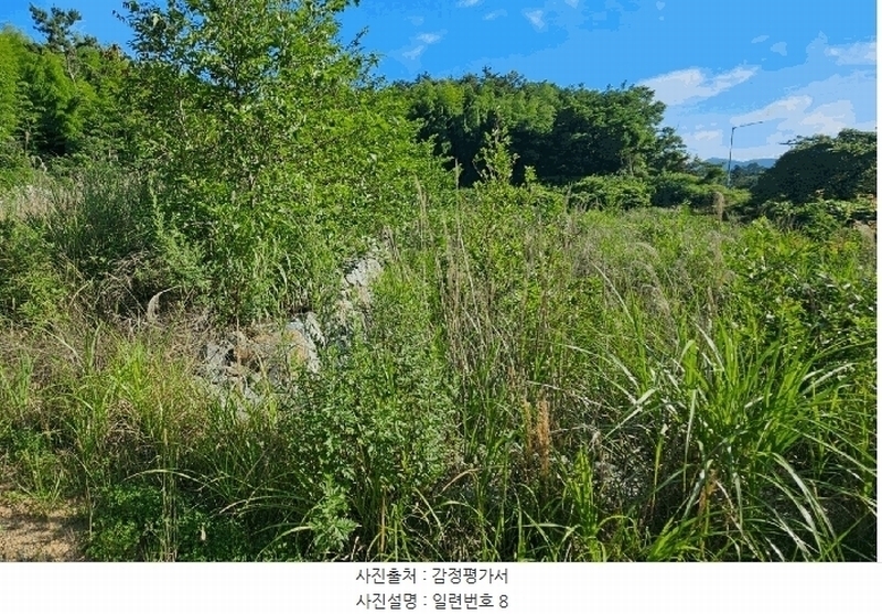 2025타경21560 경상남도 거제시 장목면 관포리 산40-1 임야 경매 이미지