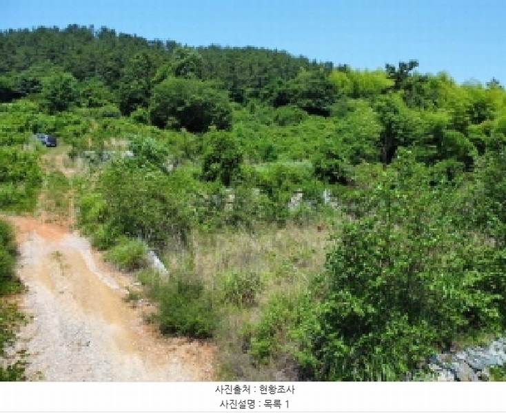 2025타경21560 경상남도 거제시 장목면 관포리 산40-1 임야 경매 이미지