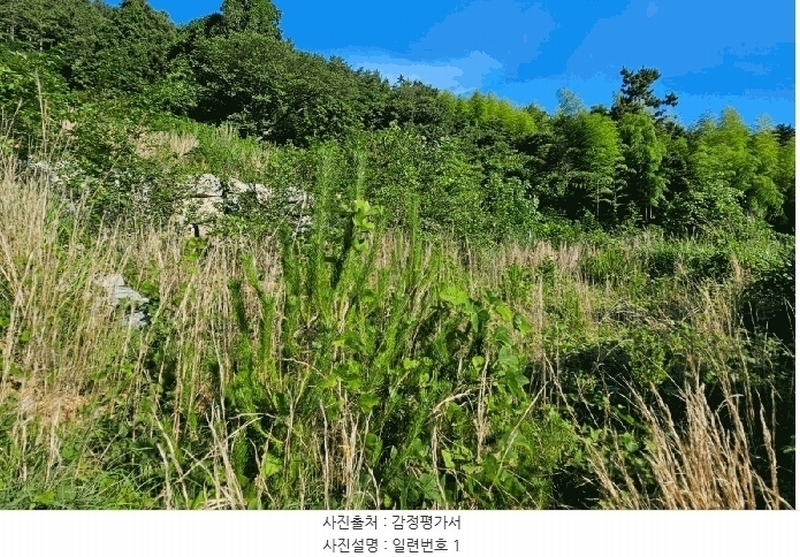 2025타경21560 경상남도 거제시 장목면 관포리 산40-1 임야 경매 이미지
