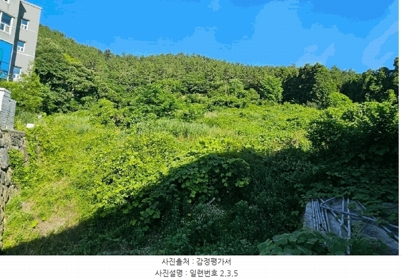 2025타경21560 경상남도 거제시 장목면 관포리 산40-1 임야 경매 이미지
