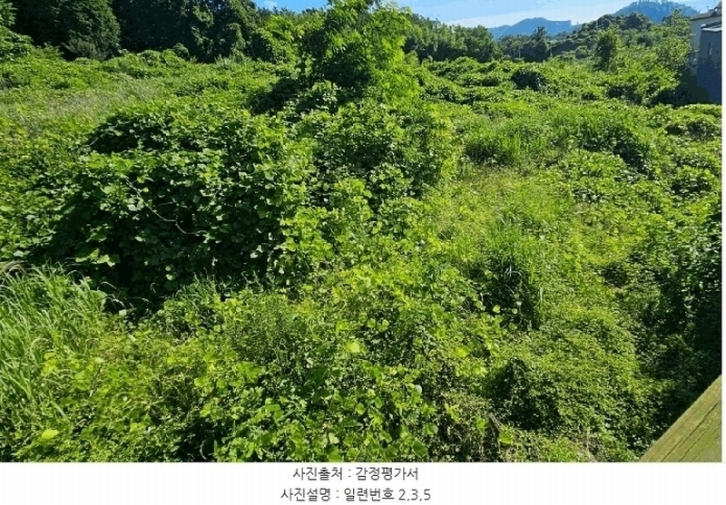 2025타경21560 경상남도 거제시 장목면 관포리 산40-1 임야 경매 이미지