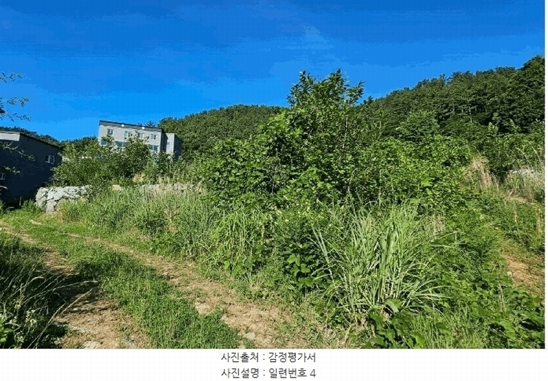 2025타경21560 경상남도 거제시 장목면 관포리 산40-1 임야 경매 이미지