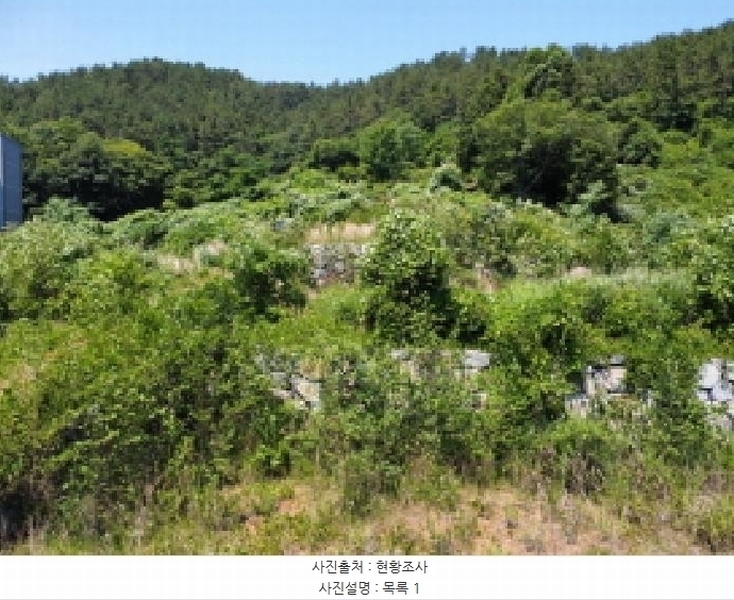 2025타경21560 경상남도 거제시 장목면 관포리 산40-1 임야 경매 이미지