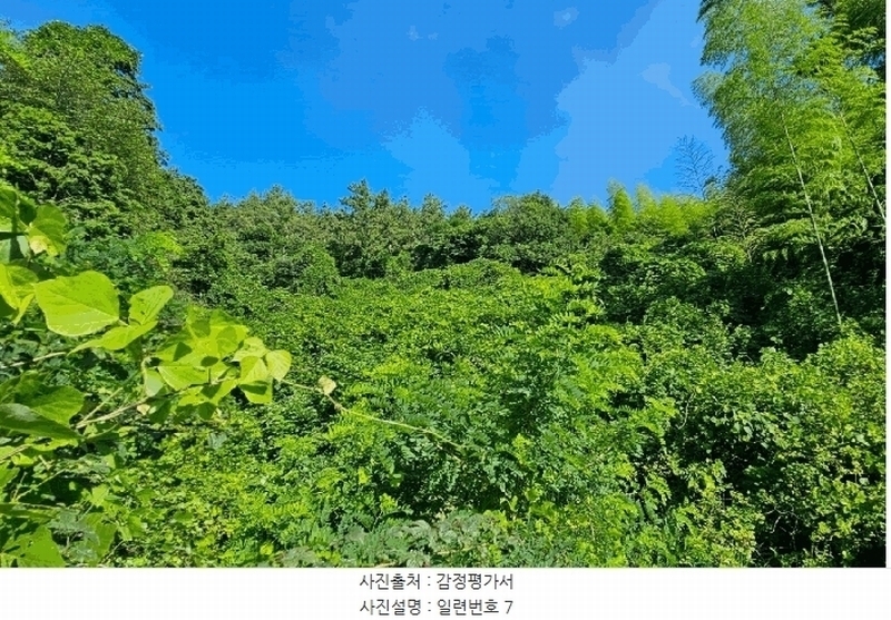 2025타경21560 경상남도 거제시 장목면 관포리 산40-1 임야 경매 이미지