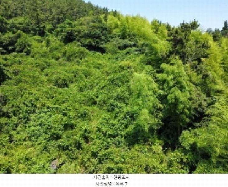 2025타경21560 경상남도 거제시 장목면 관포리 산40-1 임야 경매 이미지