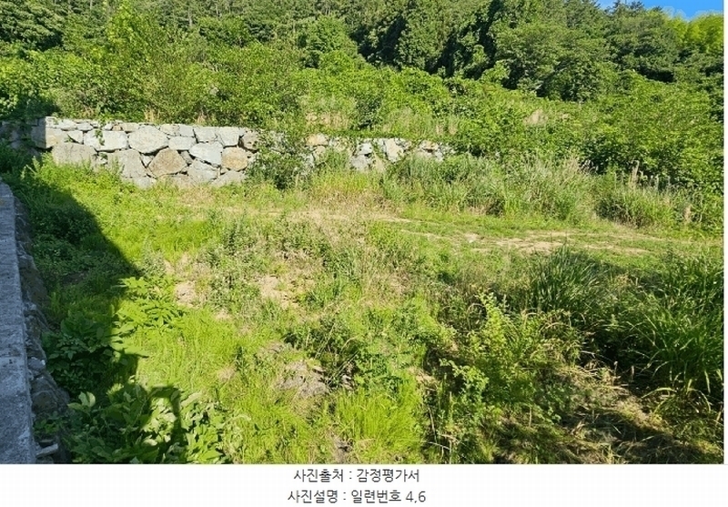 2025타경21560 경상남도 거제시 장목면 관포리 산40-1 임야 경매 이미지