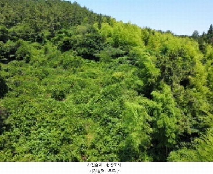 2025타경21560 경상남도 거제시 장목면 관포리 산40-1 임야 경매 이미지