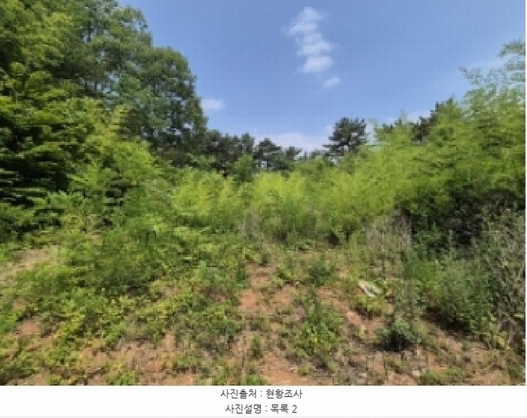 2025타경21570 경상남도 고성군 하이면 월흥리 산185-3 농지 경매 이미지
