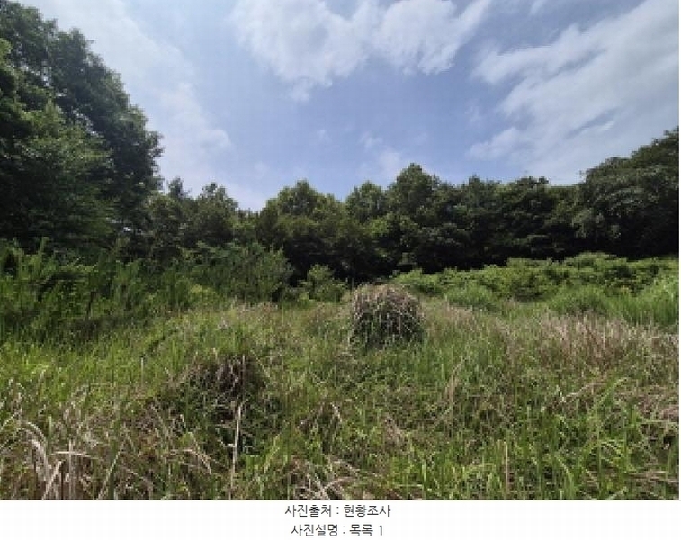 2025타경21570 경상남도 고성군 하이면 월흥리 산185-3 농지 경매 이미지