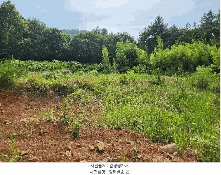 2025타경21570 경상남도 고성군 하이면 월흥리 산185-3 농지 경매 이미지