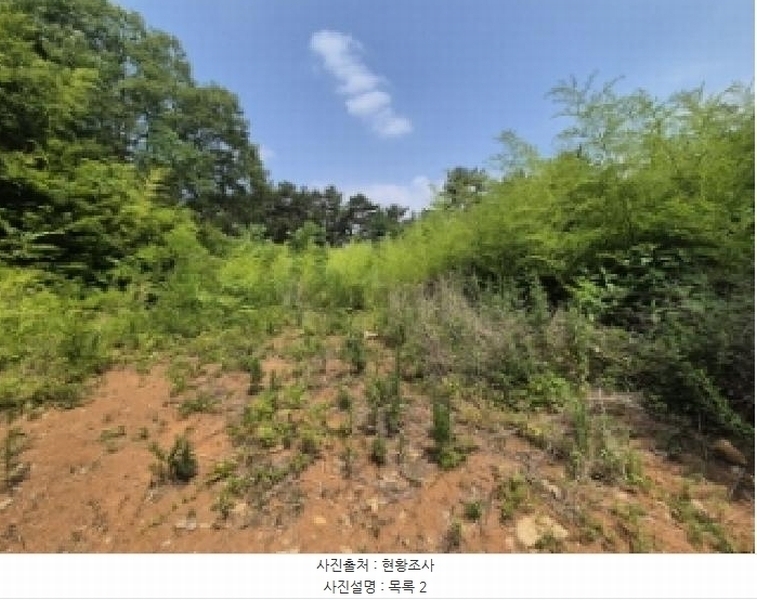 2025타경21570 경상남도 고성군 하이면 월흥리 산185-3 농지 경매 이미지
