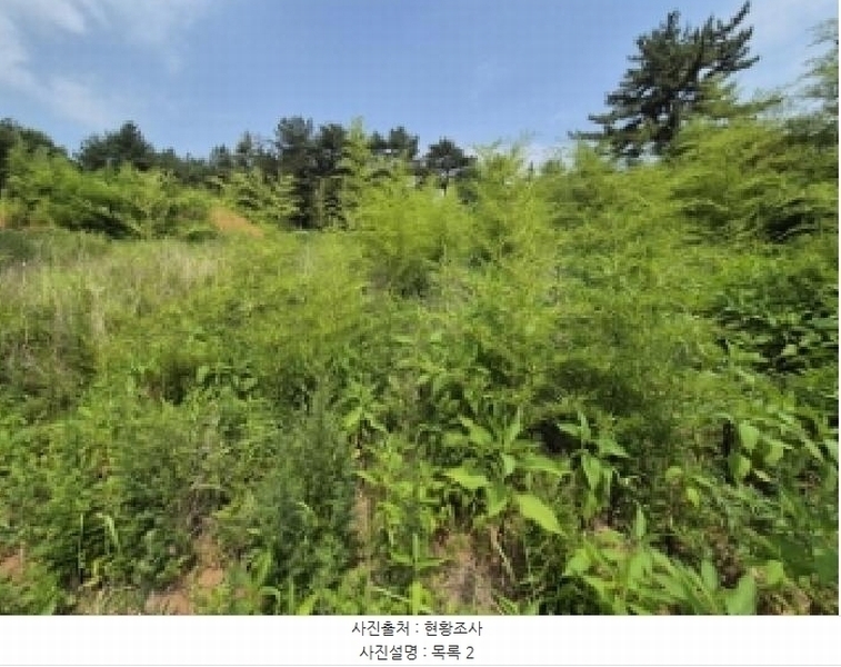 2025타경21570 경상남도 고성군 하이면 월흥리 산185-3 농지 경매 이미지