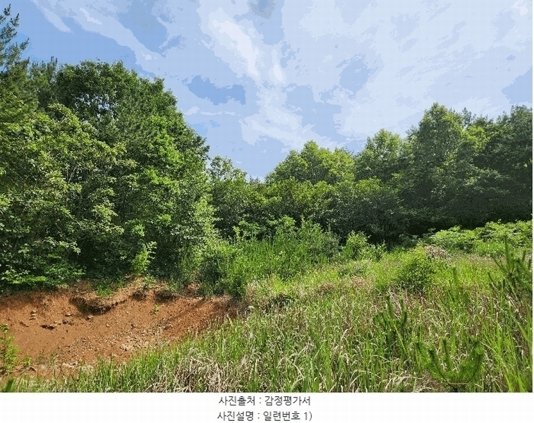 2025타경21570 경상남도 고성군 하이면 월흥리 산185-3 농지 경매 이미지