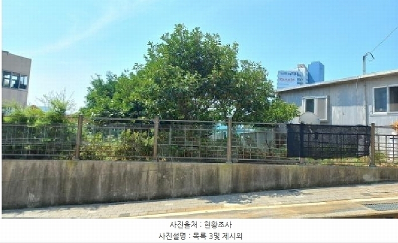 2025타경21585 경상남도 거제시 일운면 소동리 96-4 농지 경매 이미지