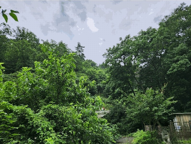 2025타경21595 경상남도 거제시 덕포동 산191 임야 경매 이미지